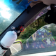 April 2017: Mr. Jinx riding shotgun. Image via Jesse Dorsett